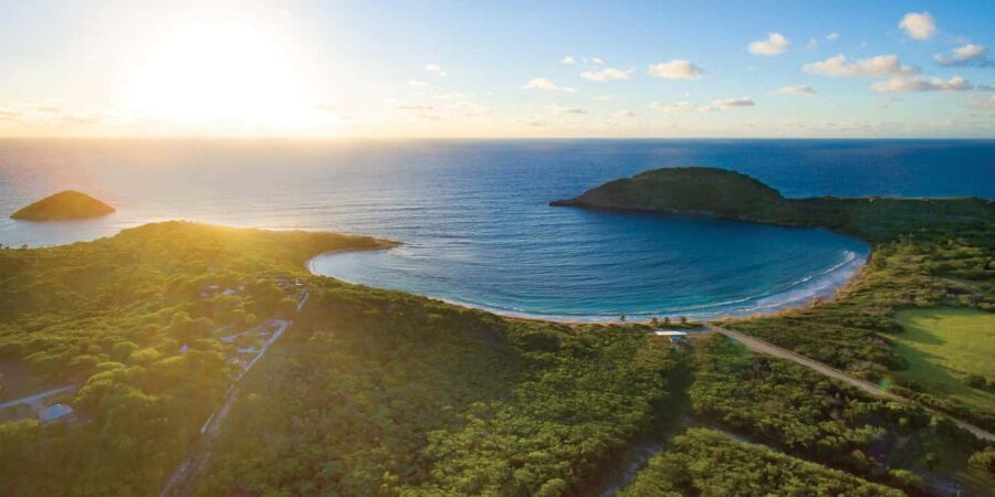 From St John's: Half Moon Bay Beach Half-Day Trip by Van - Free time at FreeTown: how to use the pause without losing the beach day