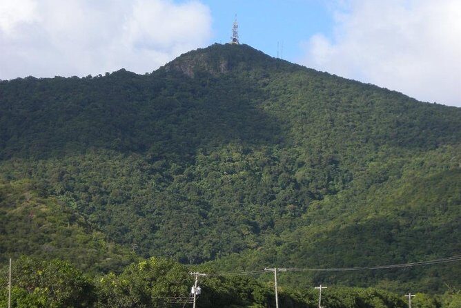Hike Antigua Tour - Conquer the Hill - Mermaid Gardens at Shirley’s Heights: the stop that gives the tour a goal
