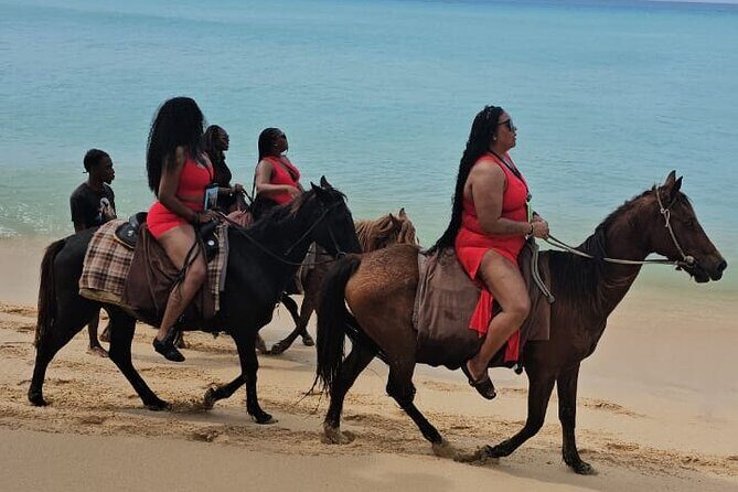 Horseback Riding at Hawksbill Beach in Five islands Antigua - Key highlights to look for