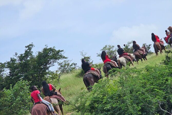 Horseback Riding at Hawksbill Beach in Five islands Antigua - First, what this ride is really like (and why it’s worth your time)