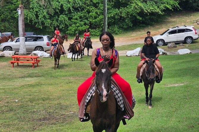 Horseback Riding at Hawksbill Beach in Five islands Antigua - Horses and care: what signals you should look for