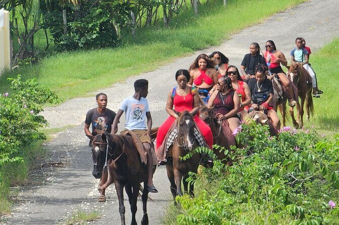 Horseback Riding at Hawksbill Beach in Five islands Antigua - Price and value: what the $120 gets you, and what to watch for