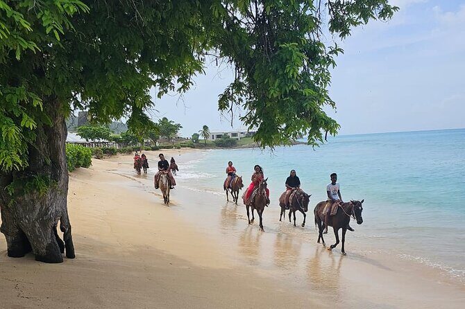 Horseback Riding at Hawksbill Beach in Five islands Antigua - Meeting at Five Islands: where you’ll start and how to plan your arrival