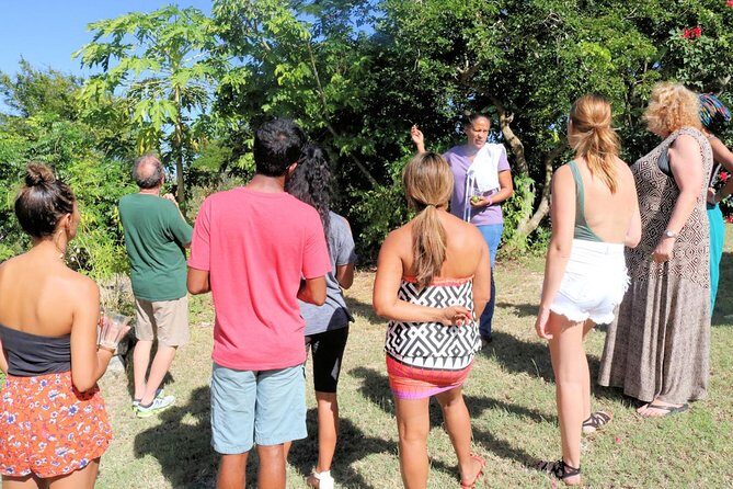 Nicole's Table - Coordinating Curry - Jerk Cooking and Caribbean Curry: The Spice Story You Can Taste