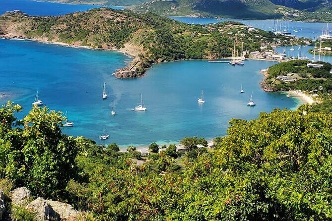 Private Snorkeling and Sightseeing Tour of Antigua - What you might see underwater (and how your guide changes the odds)