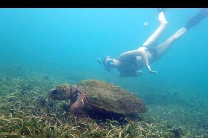 Private Snorkeling and Sightseeing Tour of Antigua - Shirley Heights: the best viewpoint stop (and why it works here)