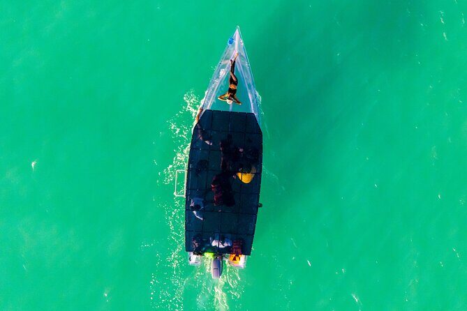 Reef Explorers Transparent Boat and Beach Tour - What You’ll See from the Transparent Hull