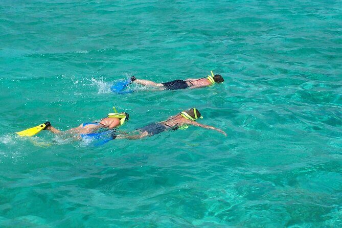 Sail and Snorkel at Cades Reef - Crew and safety: Elroy, Chad, Theo, and Ishmael