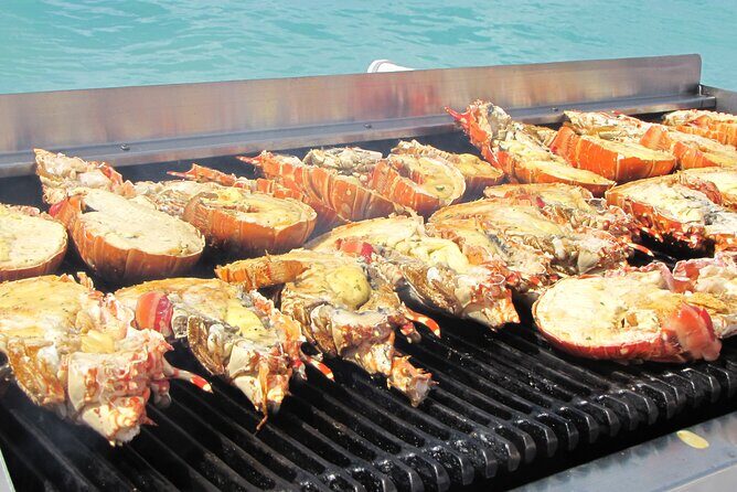 Sail and Snorkel at Cades Reef - Who should book this (and who might skip it)