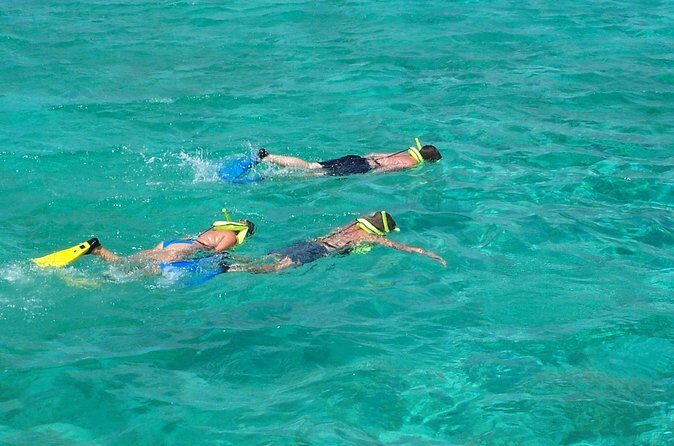 Sail and Snorkel at Cades Reef - Should you book Sail and Snorkel at Cades Reef?