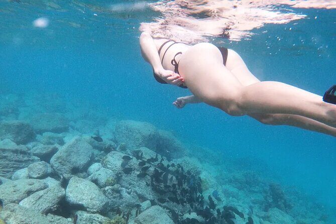 Snorkeling, Kayaking and Paddle Board Activity in Antigua - Key highlights you’ll care about