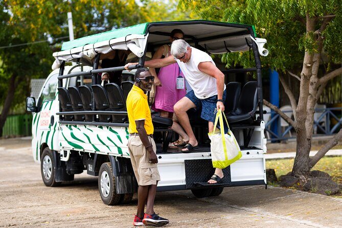 SoCoHo Eco Half Day - Mangrove Kayak & Reef Snorkeling - Price and what you actually get for $135