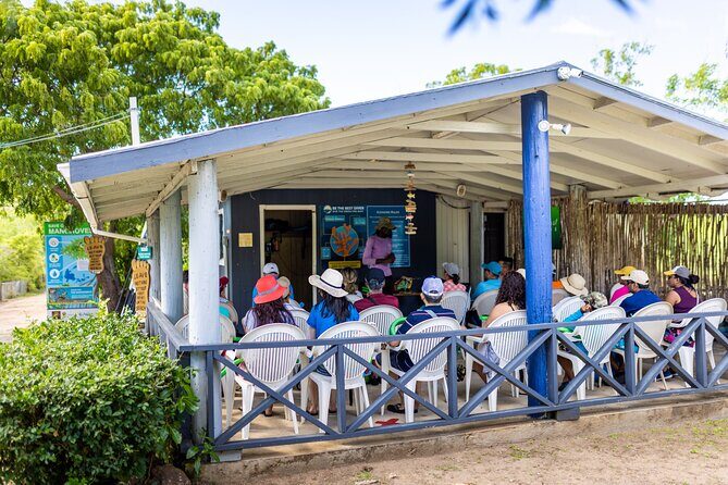 SoCoHo Eco Half Day - Mangrove Kayak & Reef Snorkeling - Rum punch, snacks, and beach time: don’t sleep on the downtime