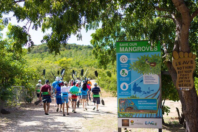 SoCoHo Eco Half Day - Mangrove Kayak & Reef Snorkeling - How the timing works (and where the day can feel short)