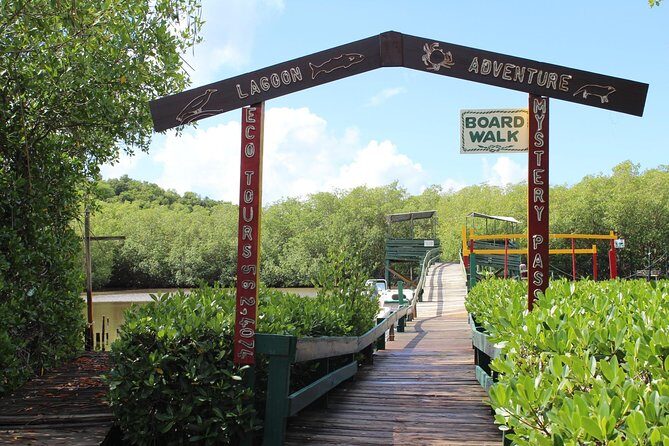 SoCoHo Eco Half Day - Mangrove Kayak & Reef Snorkeling - Who this tour fits best (and who should think twice)