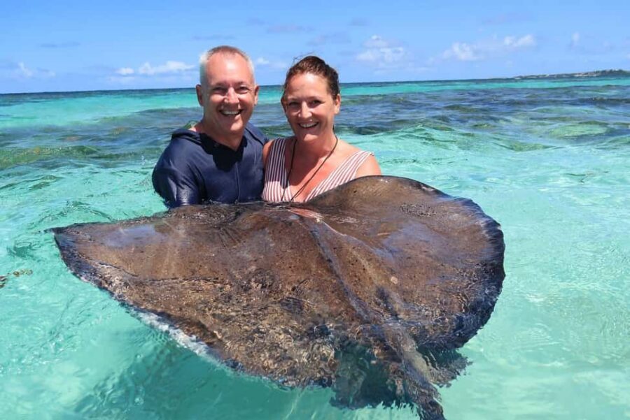 St. John's; Combo Laviscount Island & Swimming with Stingray - Key points before you go
