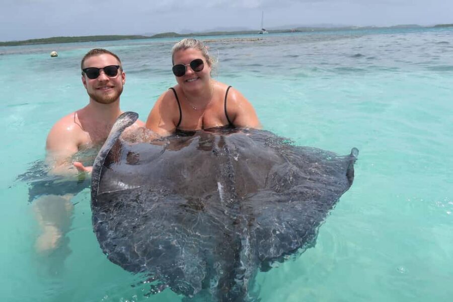 St. John's; Combo Laviscount Island & Swimming with Stingray - The Willikies Village stop: stories that change how you see the island