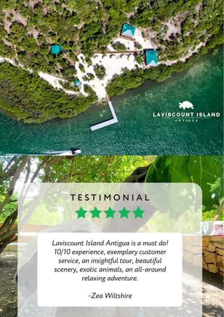 St. John's; Combo Laviscount Island & Swimming with Stingray - Laviscount Island: parrots, hands-on feeding, and Aldabra giants