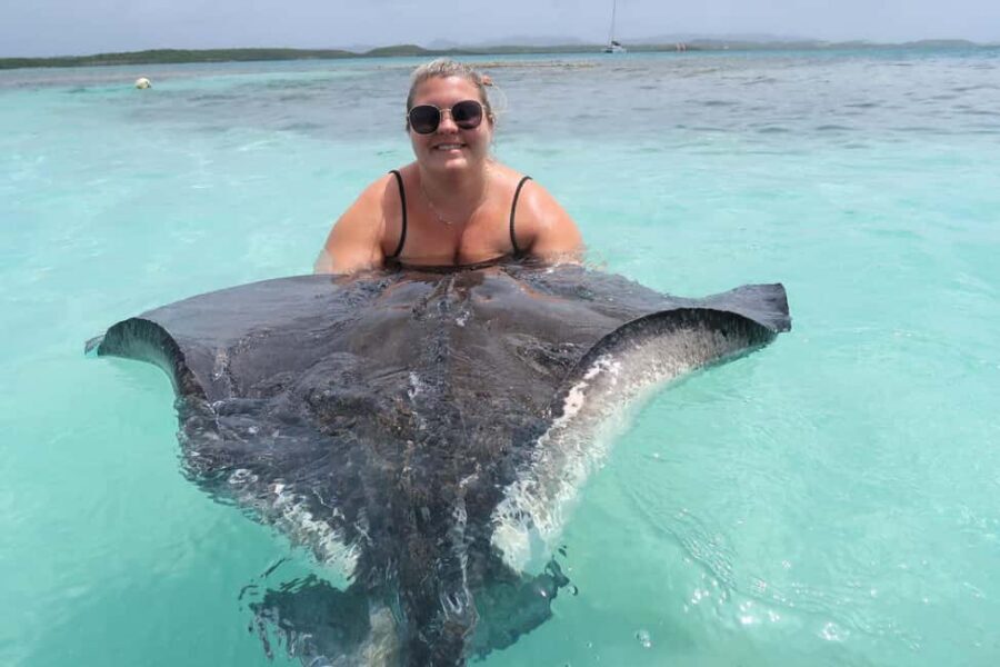 St. John's; Combo Laviscount Island & Swimming with Stingray - Antigua sightseeing with real stops, not just roadside views