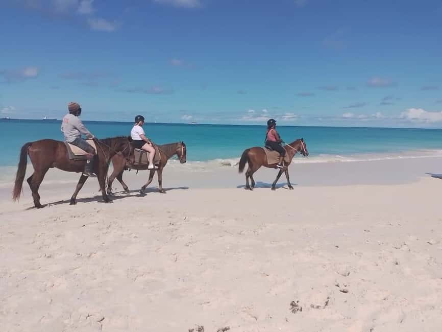 St. Johns: Horseback Riding Bareback Swim, &Fort James Beach - Key things to know before you go