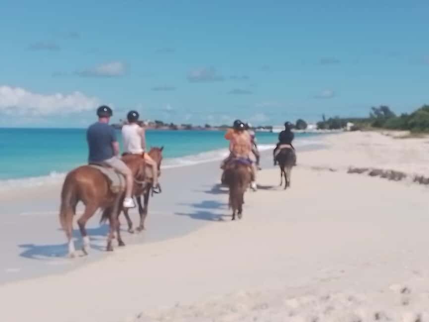St. Johns: Horseback Riding Bareback Swim, &Fort James Beach - Price and value at $136: what you’re really paying for
