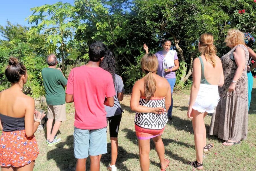 St. John's: Rum Cooking Class with 6 Rum Tastings - Who This Rum Class Suits Best (And Who Should Skip It)