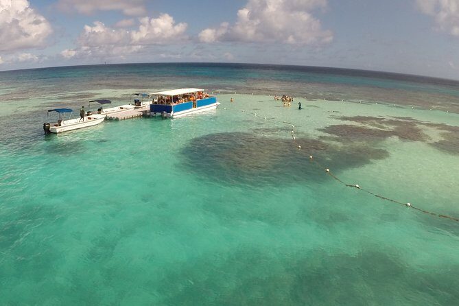 Stingray City - Why Stingray City feels different from a typical animal show