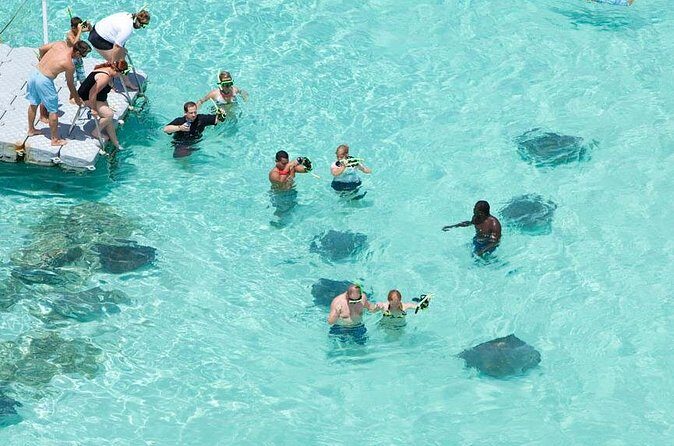 Stingray City - Staff energy: charismatic guidance makes a difference
