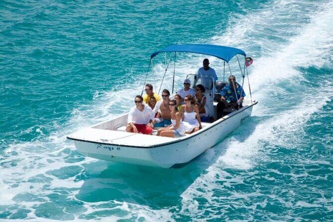Stingray City - Stingray etiquette and safety: how to avoid panicking (and bumps)