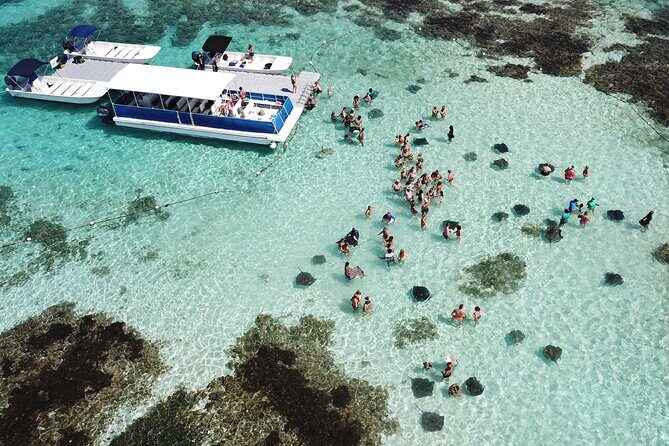 Stingray City Antigua for all the ages - ROUND TRIP INCLUDED - Why Stingray City feels like an encounter, not a show