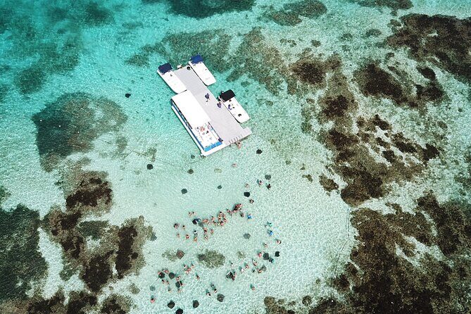Stingray City Antigua for all the ages - ROUND TRIP INCLUDED - Price and value at $139.90: what’s included, what costs extra