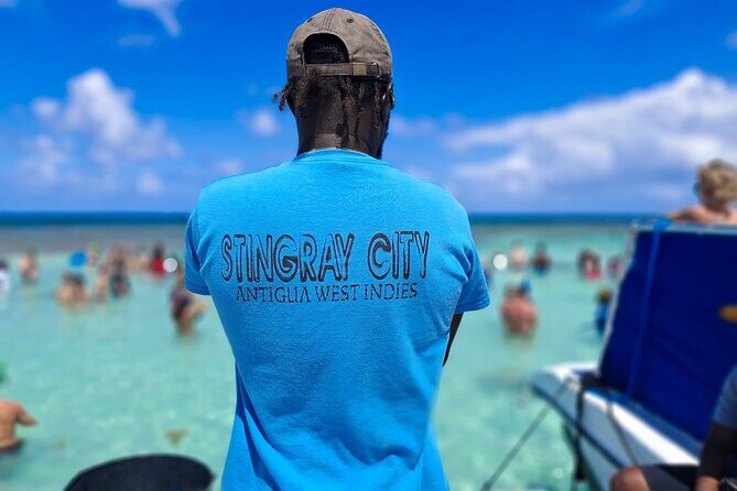 Stingray City Experience Antigua - Cruise Ship Passengers Edition - The stingray interaction: touching, holding, and what to do in the water