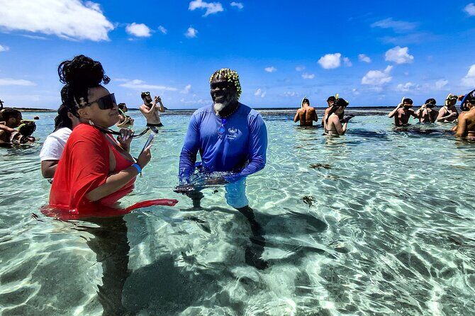 Stingray City Experience Antigua - Cruise Ship Passengers Edition - Feeding guidance and conservation-minded ethics