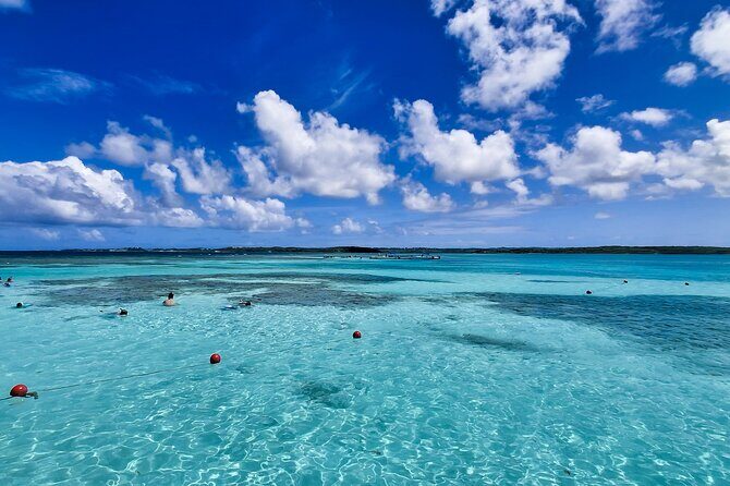 Stingray City Experience Antigua - Cruise Ship Passengers Edition - How safe is it if you can’t swim?