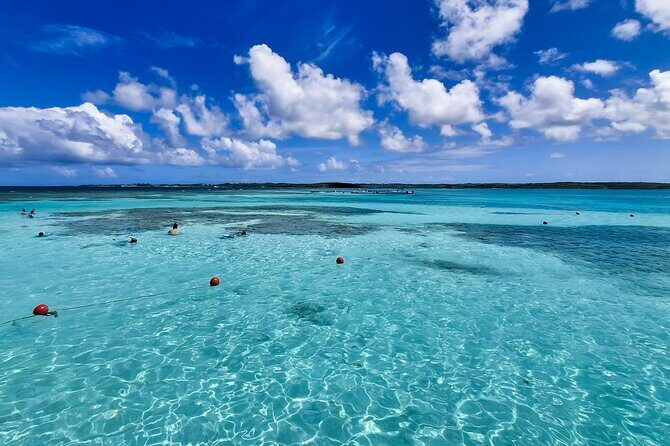 Stingray City experience, Devils Bridge and Long Bay Beach - Price and value: is $174.90 worth it?