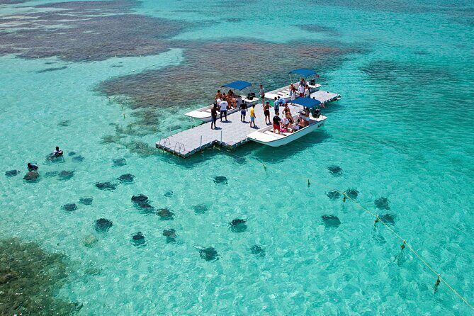 Stingray City - Getting to Stingray City: transport and the “start” matters more than you think