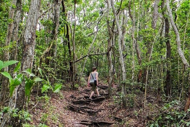 Trek Tours Hiking Experience in Antigua - Pace, difficulty, and what to pack (so you enjoy the hike, not just survive it)