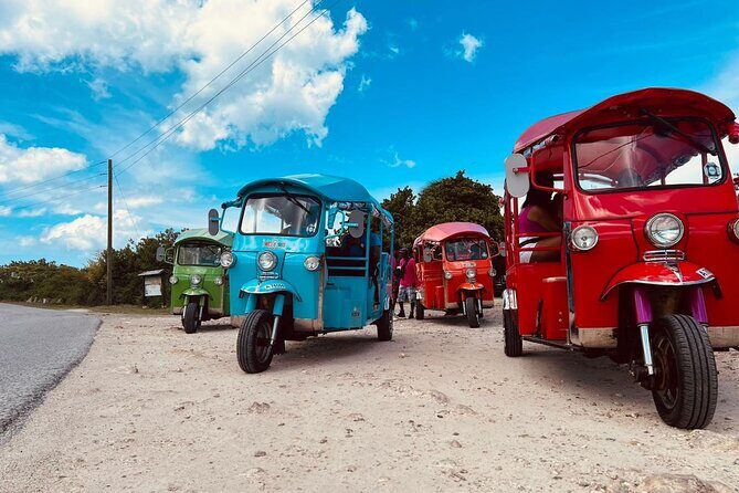 Tuk-Tuk Adventures Rainforest and Beach Hopping Tour - Fig Tree Drive rainforest stops and fruit-vendor moments