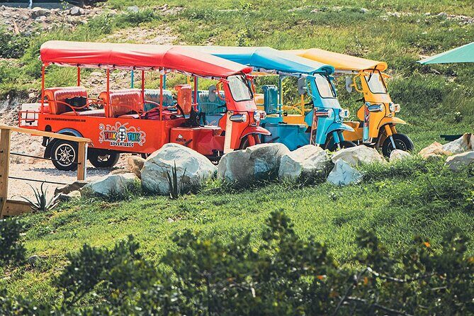 Tuk-Tuk Adventures Rainforest and Beach Hopping Tour - Guides and the small-group vibe (max 36) that keeps it fun