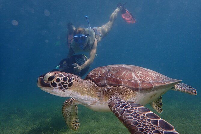 Turtle Beach Power Snorkeling Adventure - Key highlights worth knowing first