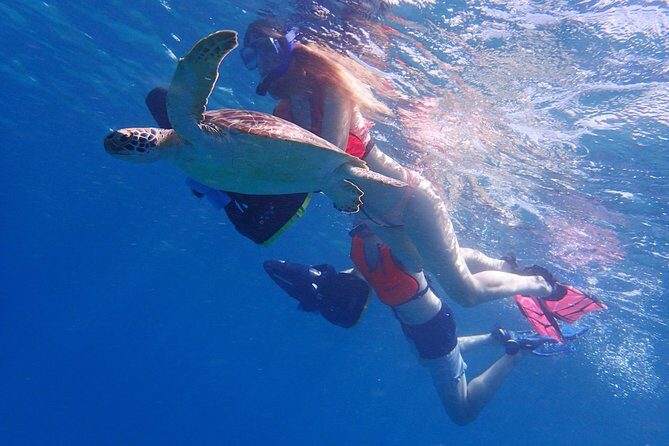 Turtle Beach Power Snorkeling Adventure - How the 2-hour flow works: tutorial, coral reef time, Pillars of Hercules