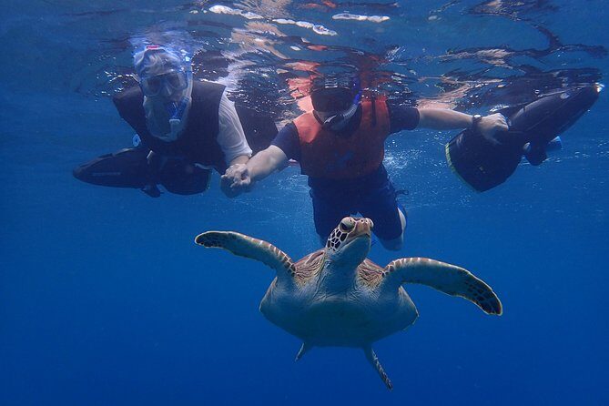 Turtle Beach Power Snorkeling Adventure - Safety and swim requirements: what you must be ready for