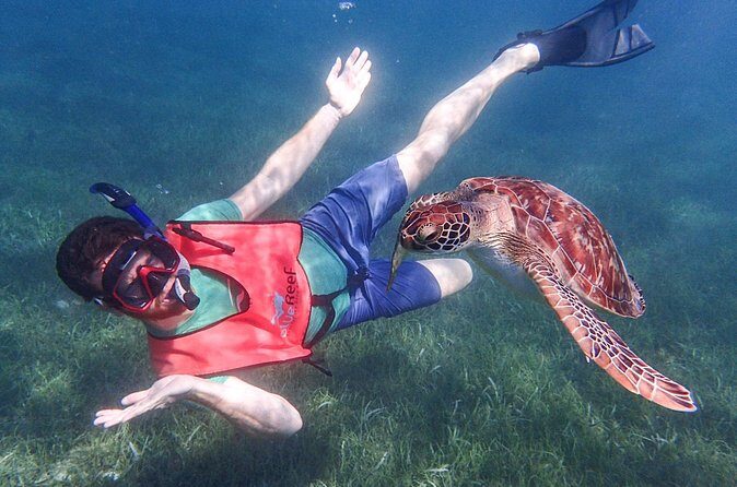 Under the Sea snorkeling(Stingray/Kayak/ Power Snorkel available) - Service hiccups and how to protect your day