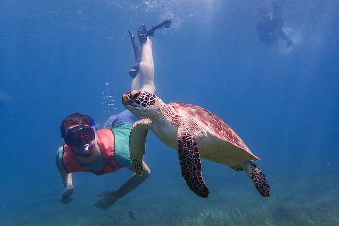 Under the Sea snorkeling(Stingray/Kayak/ Power Snorkel available) - Stingray, Kayak, Power Snorkel: choosing the style you want